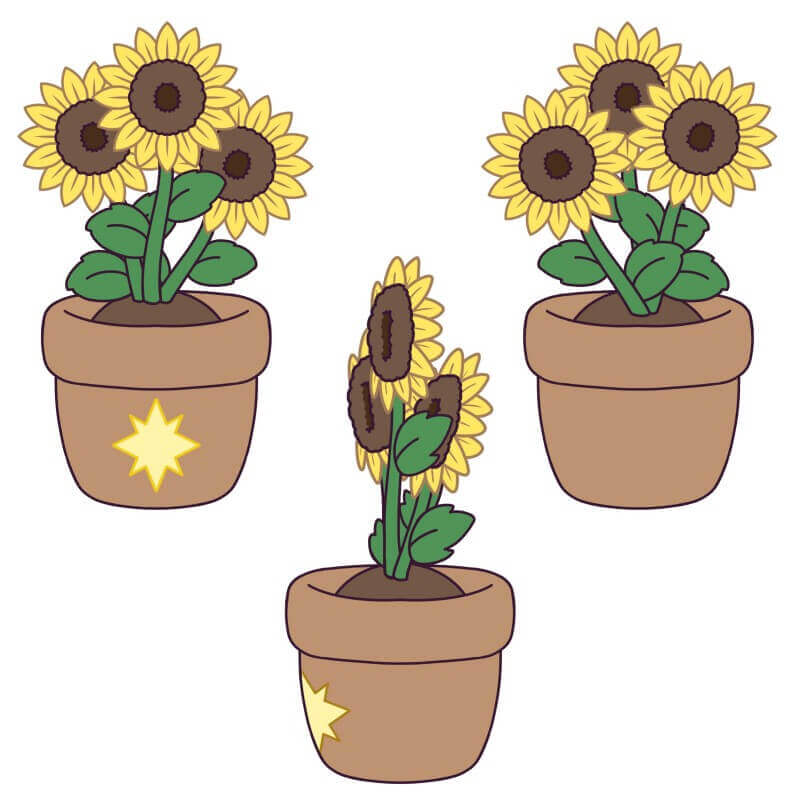 Flower Plush Series